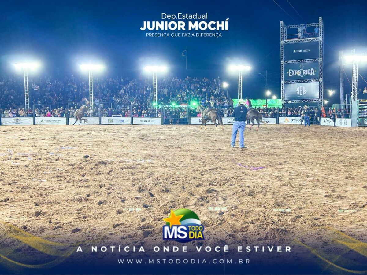 Imagem da Galeria